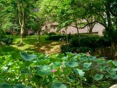 环境-香港大学