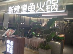 -新辣道鱼火锅(摩尔城店)