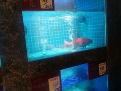 -潮州府·潮菜·砂锅粥(徐家汇店)