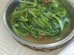 炒通菜-黄埔合益酒家