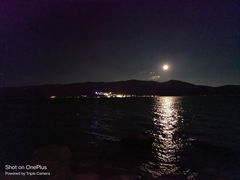 -才村湿地公园