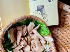-滇野云南野生菌餐厅