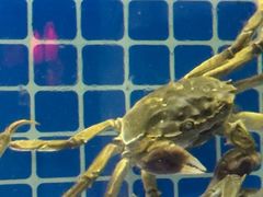 -黄记大闸蟹专卖店·活蟹·醉蟹