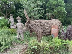 -东平国家森林公园