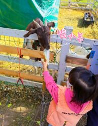 -优沃得自然教育农场·冰雪乐园·生日会·研学