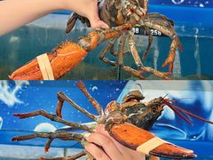 -七鲜渔港美食餐厅(巽寮湾海景店)