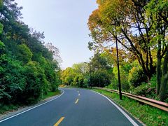-宝界山林公园