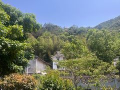 -雁南飞茶田景区