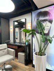 -Z.X HAIR SALON张新美业