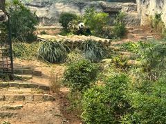 -石排湾郊野公园