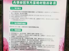 -田园东方蜜桃村的田野营地
