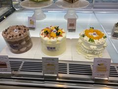 -TD66高山铁皮石斛养生茶饮