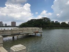 -顺峰山公园