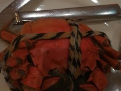 -老季苏州藏书羊肉馆