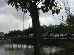 android_upload_pic-小塘渔村(开平大道店)