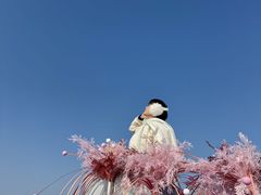 -WFC会仙楼观景台