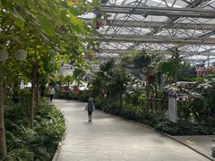 -南宫五洲植物乐园