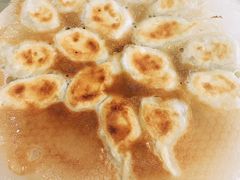 -添福来墨鱼饺子 · 海鲜东北菜(大连星海·黄浦路店)