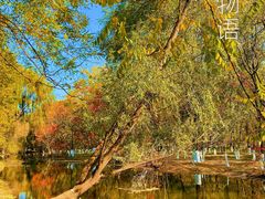 -长白岛森林公园