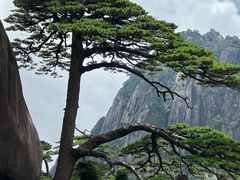 -黄山风景区