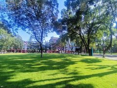 -四川大学(望江校区)