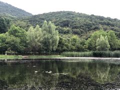 -石塘人家