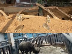 -济南野生动物世界