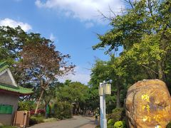 -顺峰山公园
