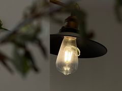 -有猫主题·治愈系猫咖(曾厝垵店)