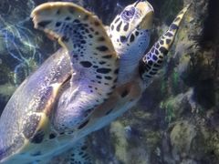 -太平洋海底世界