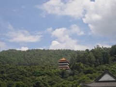 -水濂山森林公园