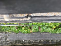 -虞山城墙