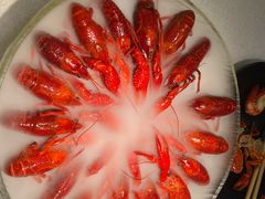 -红盔甲·小龙虾(天钥桥店)
