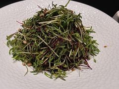 -嘉宴·精致客家菜