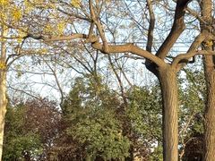 -汉长安城未央宫国家考古遗址公园