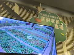 -烹然四季椰子鸡火锅(团结湖总店)