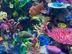 -成都浩海立方海洋公园