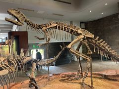 -自贡恐龙博物馆
