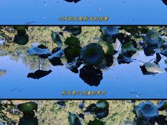 -颐和园