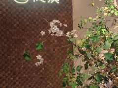 -隐溪茶馆(静安寺店)