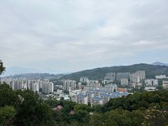 -福道