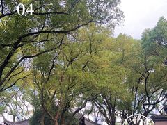 -天一阁博物院