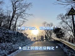 -老山国家森林公园