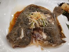 清蒸多宝鱼-凯思大酒店