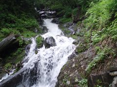 -凤凰山国家森林公园