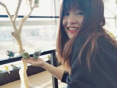 -昆明大悦城未来动物城(螺蛳湾中心店)