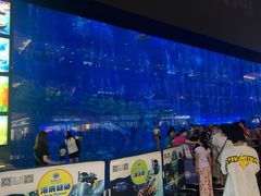 -成都浩海立方海洋公园