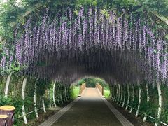 -同里国家湿地公园