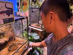 -正佳雨林生态植物园