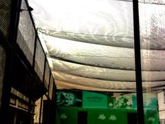 -洛克公园·篮球(雨花客厅店)